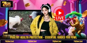 Poultry Health Protection - Essential Guides For Fowl