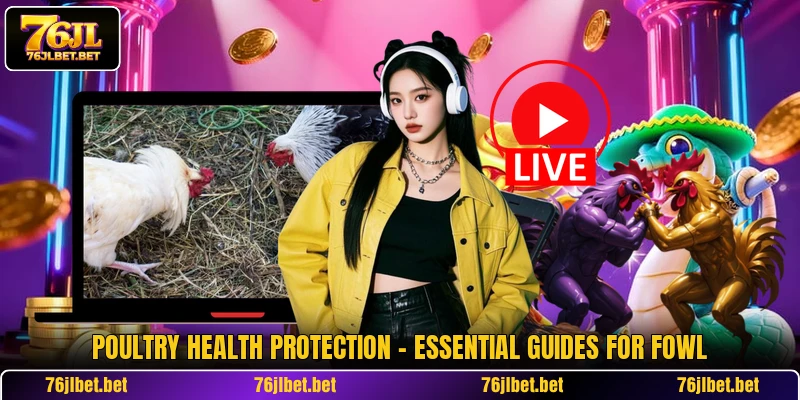 Poultry Health Protection - Essential Guides For Fowl
